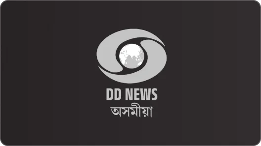 DD News Logo